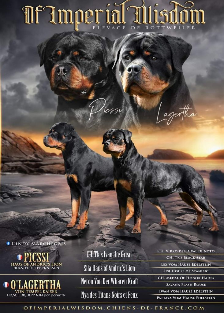 Bébés de lagertha & Picssi