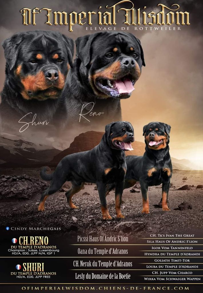 Bébés de Shuri & Reno