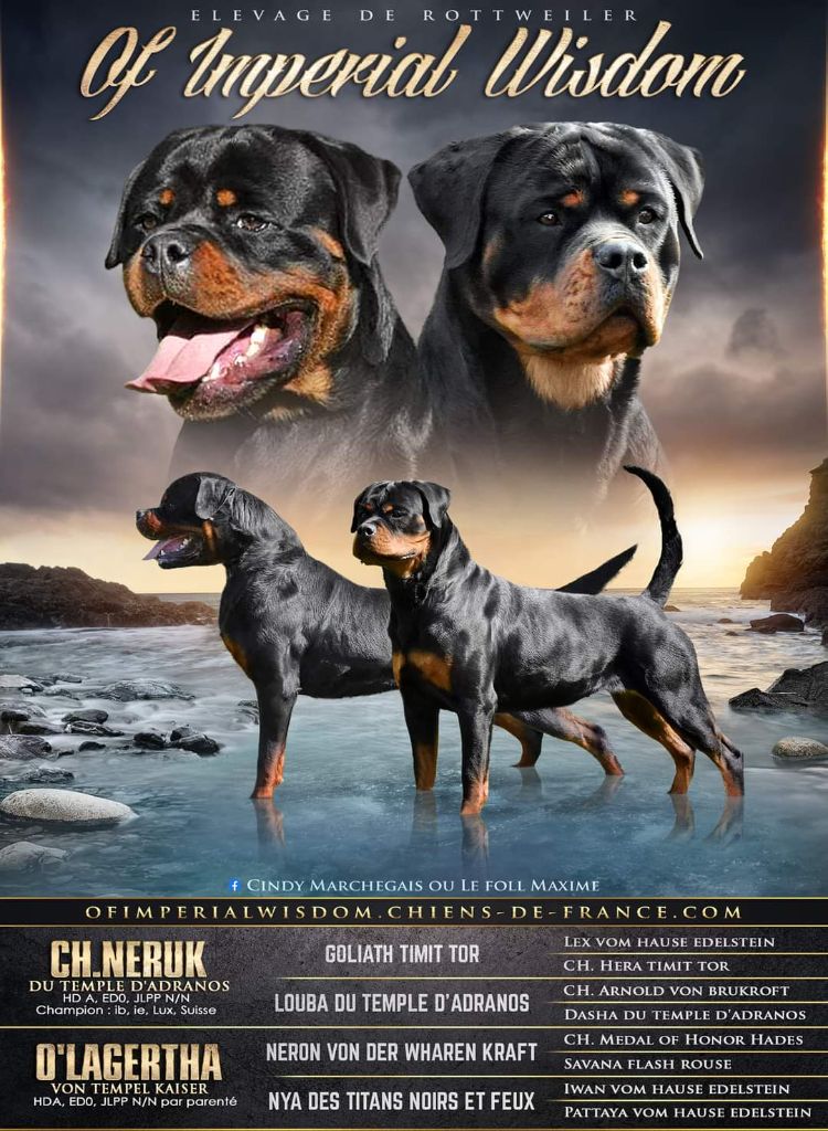Bébés de Lagertha / Neruk